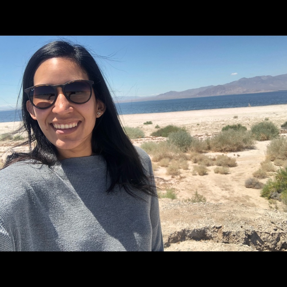 Meet your Posher, Dinorah
